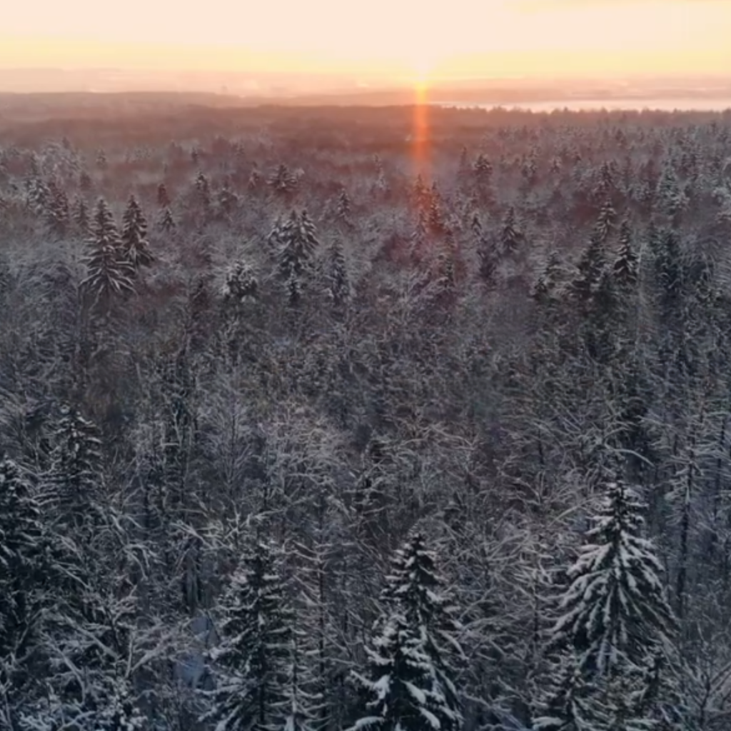 Sähkön hinta nyt -Pörssisähkön ja kiinteiden hintojen erot 3 Sahkon hinta nyt